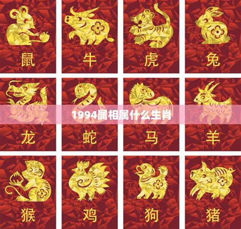 1974年属相|1974属什么生肖？解读1974年出生人的属相